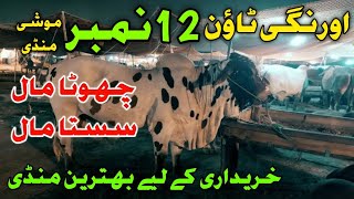 Orangi Town 12 Number Maweshi Mandi Sab Sy Sasti Mandi [upl. by Anyaj]