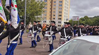 Camlachie Loyal Star Flute Band  Gourock Boyne Celebrations 29thJune 2024 [upl. by Ernestine953]