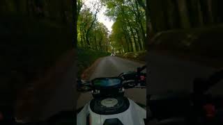 MT07 Akrapovic through the forest shorts yamaha mt07 akrapovic [upl. by Sarilda]