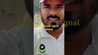 Hard ball signal wicket Parviz vs Mubashar [upl. by Wordoow]