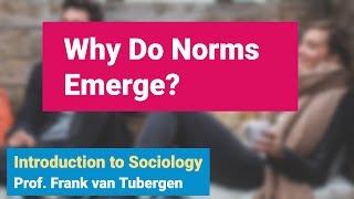 66 Why Do Norms Emerge  Introduction to Sociology course  SOC 101 [upl. by Yendic]