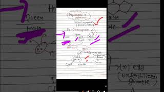 class12biology reproductioninorganism parthenogenesis neet biology boardexam neet shorts [upl. by Oap645]