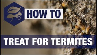 How To Get Rid Of Termites [upl. by Etnud]