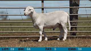 LOT 39 Orrie Cowie 2024 On Property Sale [upl. by Far]