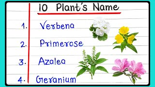 10 plant’s name in english  10 flowering names in english  plants name in english  पोंधों के नाम [upl. by Anaer]