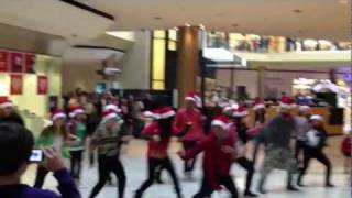 Justin Bieber Black Friday Flash Mob [upl. by Ilrebma]