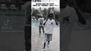 Renard Barakissa dos de chat Prod by TERRIBLÉ BEAT [upl. by Dimitry902]