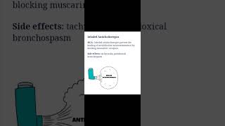 Respiratory Meds  Inhaled Anticholinergics [upl. by Olnton47]