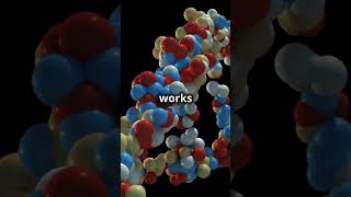 Easy Trick to Remember DNA Base Pairs 🧬 AT amp GC Made Simple 🔥📚 dna genetics basepairs [upl. by Kcid879]