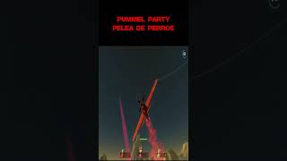 PUMMEL PARTY [upl. by Llirred]