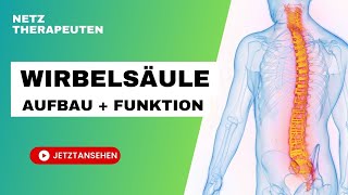 Die WIRBELSÄULE  Aufbau und Funktion [upl. by Haisa]