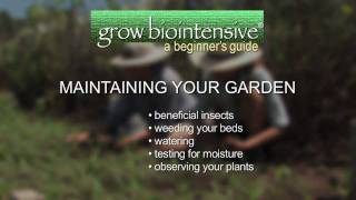 Session 9 GROW BIOINTENSIVE A Beginners Guide  Maintaining Your Garden [upl. by Mraz]