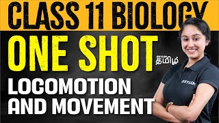 One shot  Class 11  Locomotion and movement   Xylem NEET Tamil [upl. by Cyrilla228]