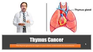 Thymus Cancer  Causes Diagnosis Symptoms Treatment Prognosis [upl. by Ursala]