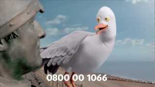 The full picture TV advert  Hastings Direct [upl. by Sivat]