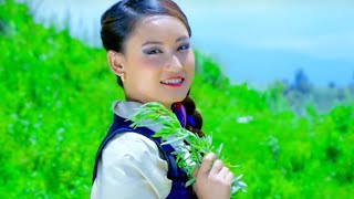 Sherpini Kanchhi  Lakpa Sherpa Amod  New Nepali Selo Song 2016 [upl. by Ahsetal]