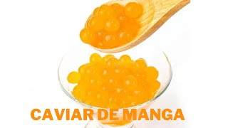 Esferificação  Caviar de Manga Vegano [upl. by Rossie829]