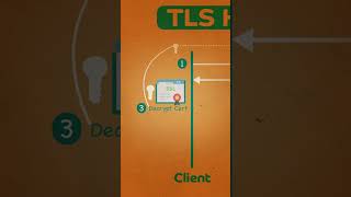 TLS Handshake Explained systemdesign ssl [upl. by Jamie]