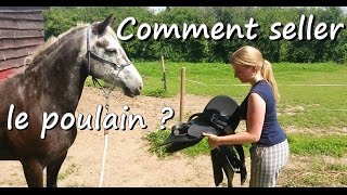 Comment seller le poulain   Débourrage de Clémence partie 6 [upl. by Darrow]