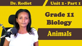 Grade 11 Biology Unit 2 Animals Part 1  Dr Rediet [upl. by Pilloff]