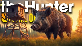 Wie gut sind DIESE HOCHSITZE auf Hirschfelden  theHunter Call of the Wild [upl. by Jevon]