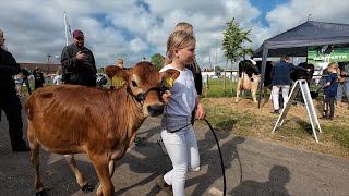 Det Sønderjyske Fællesdyrskue 2024 – 34 [upl. by Stochmal385]