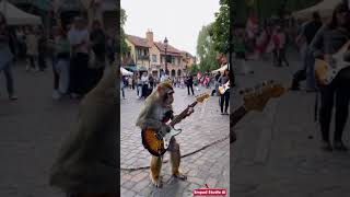 Viral Monyet Main Gitar di Alun Alun Rusia empudstudioai shorts [upl. by Harald138]