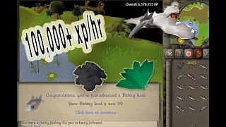 OSRS How to 3 Tick Barbarian Fish  THE EASIEST WAY [upl. by Nueormahc]