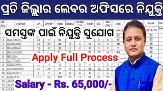 Labour Office Recruitment 2024  Odisha Govt Labour Office Jobs  Odisha Govt Job Vacancy 2024 [upl. by Rollie327]