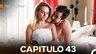 Alas de Amor Capitulo 43 Doblado En Español [upl. by Troxell]