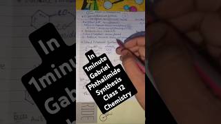 🔥Gabriel phthalimide synthesis amines class 12 chemistry class 12th chemistry GPS Method [upl. by Pawsner]