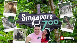 Exploring Singapore Zoo A Day at Mandai Wildlife Reserve 🐾🌿 [upl. by Anwahsad]