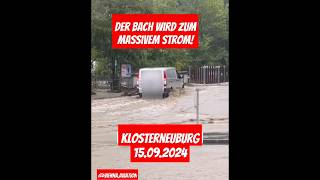 Bach wird zum Massivem Strom Extremes Hochwasser in Klosterneuburg flood viralvideo hochwasser [upl. by Zetes163]