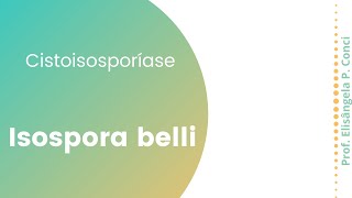 Cistoisosporíase isospora belli [upl. by Rekoob362]