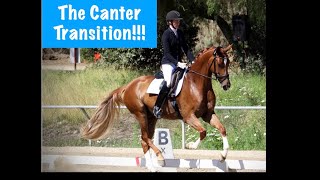 The Canter Transition [upl. by Yraeht]