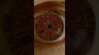 Ultra Realistic Mangekyou Sharingan in REAL LIFE Uchiha Shisui  Naruto VFX [upl. by Delmar159]