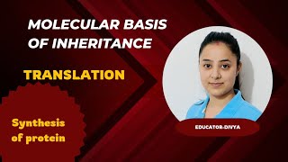 Translation  Molecular Basis of Inheritance  NEET 2024  Bio  NCERT [upl. by Anirbaz668]