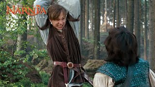 Peter Pevensie vs Prince Caspian  The Chronicles of Narnia Prince Caspian [upl. by Brackett]