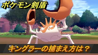 ポケモン剣盾 キングラーを捕まえる方法！オススメの場所は？天気は？ポケモン図鑑コンプへの道！ 最新版【ポケモンソード・シールド】 [upl. by Etteraj241]