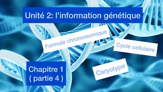 Unité 2 l’information génétique et sin mécanisme d’expression chapitre 1  partie 4 [upl. by Hanas336]