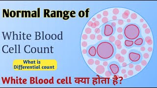 wbc normal range II white blood cells normal range [upl. by Franck374]