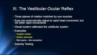 The Vestibular System [upl. by Narine]