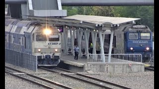 Trenuri Pitești septembrie 2019 🚄🚃🚃 [upl. by Bowlds]