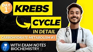 kreb cycle biochemistry  citric acid cycle biochemistry cycle carbohydrate metabolism biochemistry [upl. by Duff707]