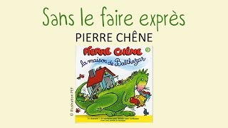 Pierre Chêne  Sans le faire exprès  chanson pour enfants [upl. by Dowd]