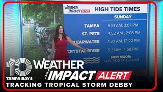 Countybycounty impacts of Tropical Storm Debby across Tampa Bay [upl. by Longawa628]