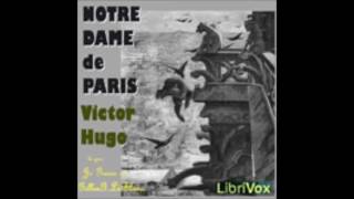 Notre Dame de Paris 13  Victor Hugo  AudioBook FR [upl. by Caitrin]