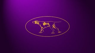 90th Anniversary Junior Showmanship Finals  Westminster Kennel Club Dog Show [upl. by Millan186]