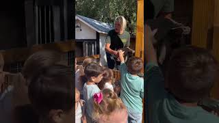 Kids reacted to 25 years old tortoise [upl. by Rexanna]