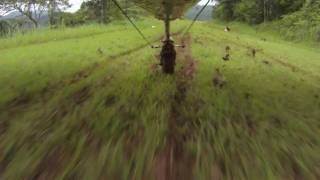 Cessna 185  Taking off and Landing on a Muddy Jungle Airstrip [upl. by Pinter]